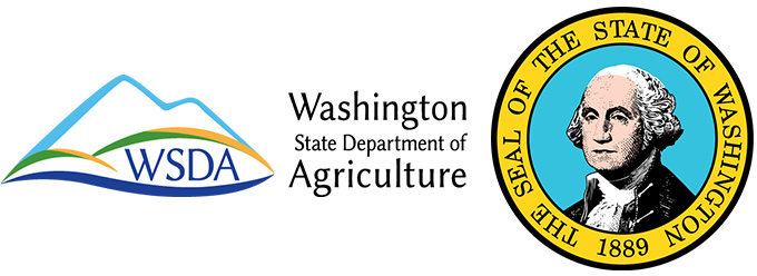 Washington.jpg