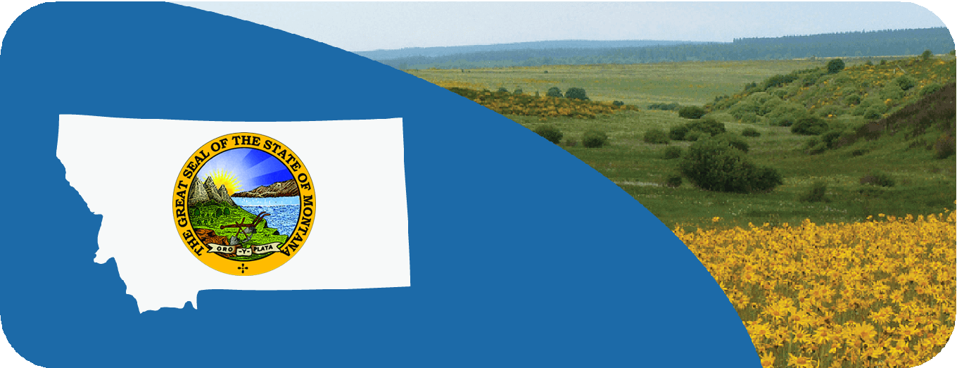 st_montana1.png